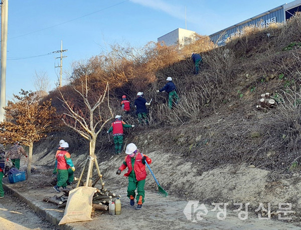 장흥군 푸른숲가꾸기팀이 전남소방본부 주변 도로 잡관목 제거 등 녹화 경관 개선활동을 벌이고 있다.